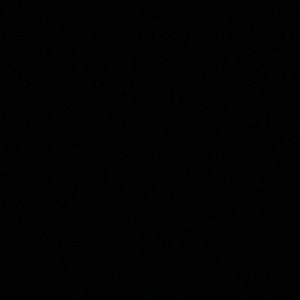 Meet your Posher, Shane